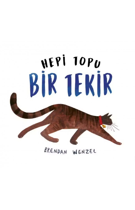 Hepi Topu Bir Tekir