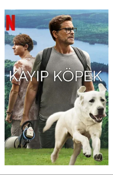 Kayıp Köpek