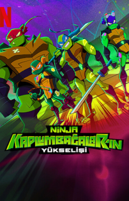 Ninja Kaplumbağaların Yükselişi